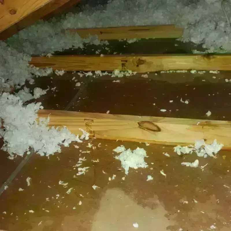 Attic Water Damage in Nassau Village-Ratliff, FL